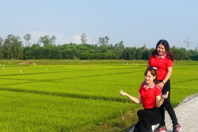 HƯỞNG ỨNG NGÀY CHẠY OLYMPIC VÌ SỨC KHỎE TOÀN DÂN NĂM 2023