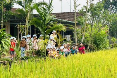 TỔ CHỨC HOẠT ĐỘNG   “TRẢI NGHIỆM THAM QUAN CÁNH ĐỒNG LÚA”